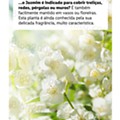 Antevisão Folheto LIDL Especial Jardinagem d28.jpg